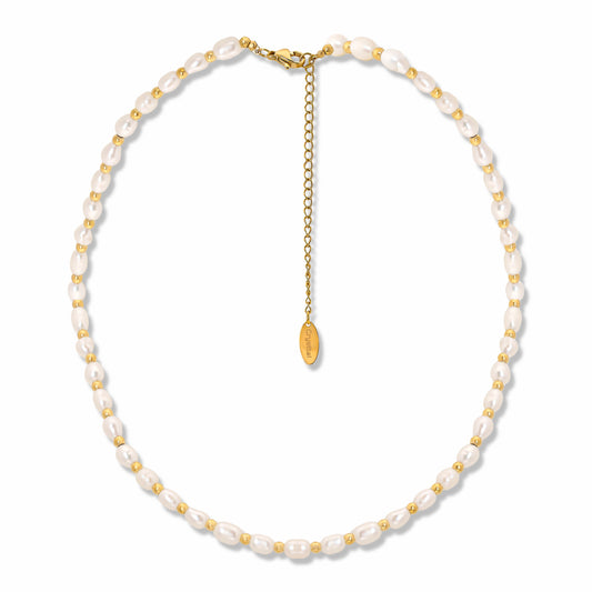 Gold Bead Pearl Necklace on white background